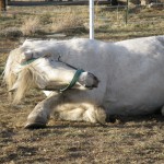 IMG_0173-2 IMG_0173-2