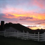 IMG_0421 IMG_0421