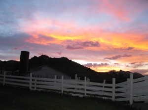 IMG_0421 IMG_0421