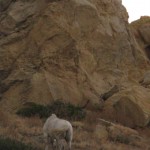 IMG_0814 IMG_0814
