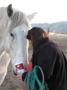Geronimo & Client