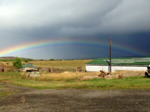Photo of a rainbow at a ranch.